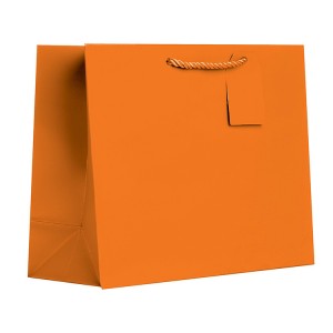 Basic Color Custom Paper Bag with Rope handle