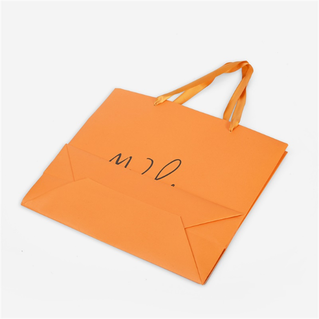 Shopping Paper Bag02